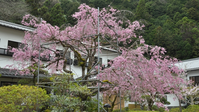 【楽天限定★旅行応援】◆当館人気No.１◆とろける和牛をご堪能♪≪石焼×しゃぶしゃぶ≫